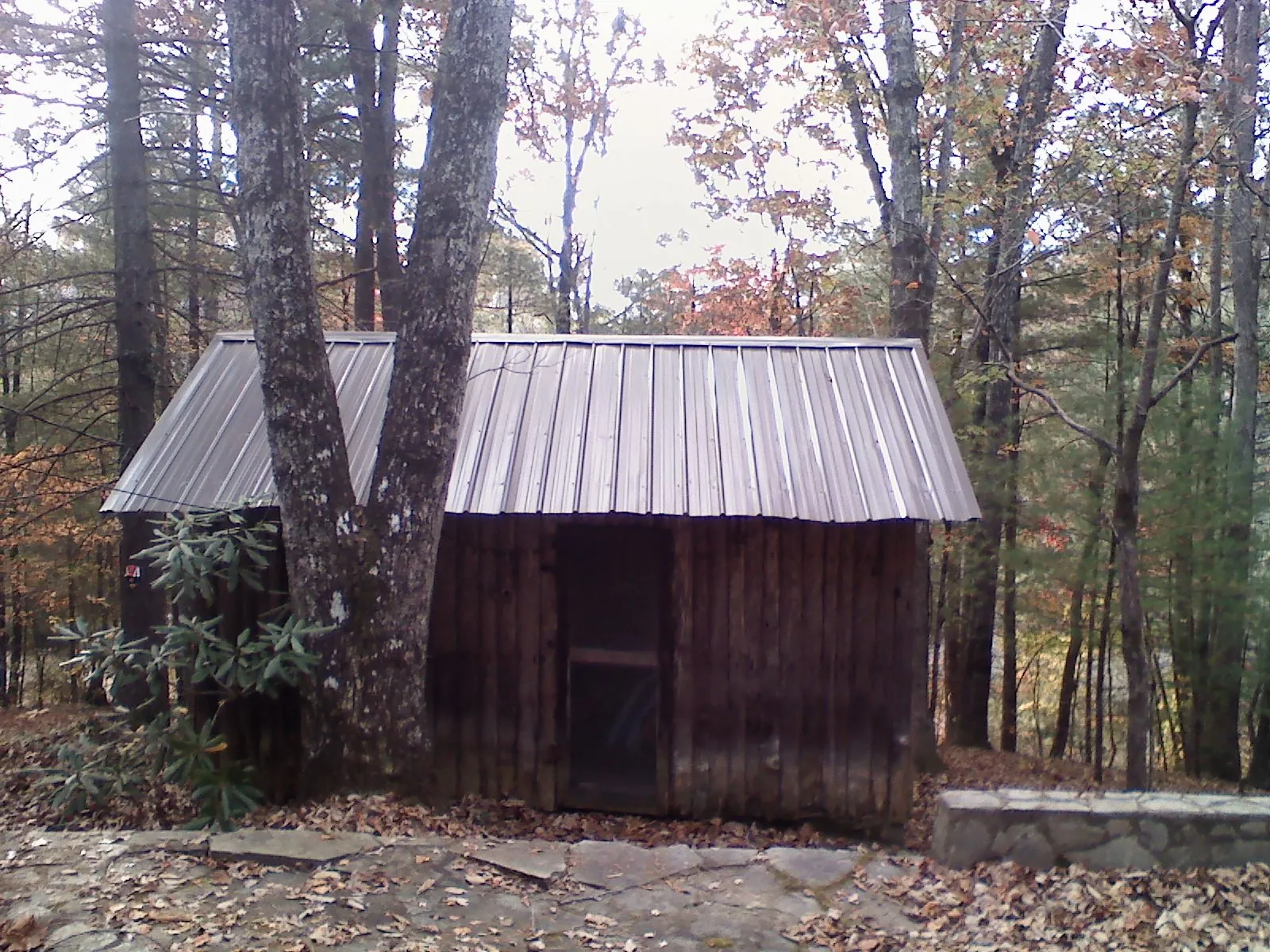 New metal gable roof on a small log shed among the trees in Weskan